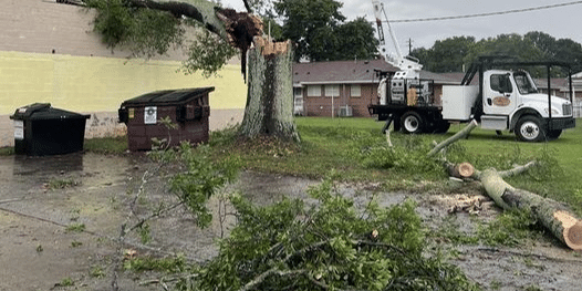 Emergency Tree Care in Modesto CA: A Vital Service by Roots Tree Service and Landscaping LLC