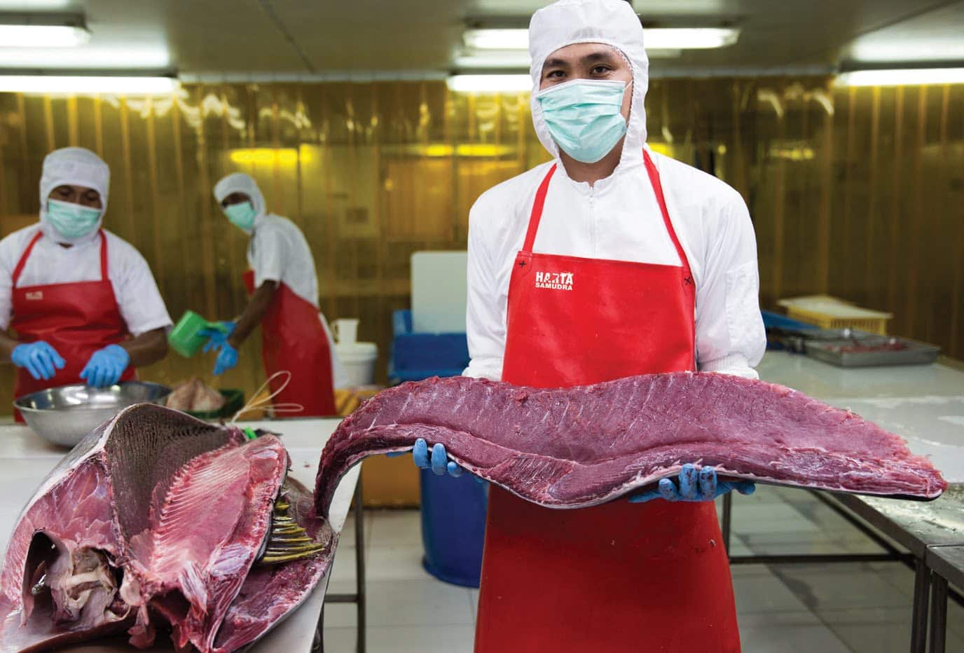 Indonesia Upholds Its Tuna Industry's Sustainable Future