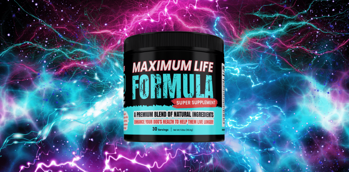 The Dog Supplement Everyone Is Talking About In 2024 Is Maximum Life Formula By Dog Trainer Approved