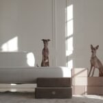 Flair.Pet Launches Marketplace to Elevate Pet Shopping