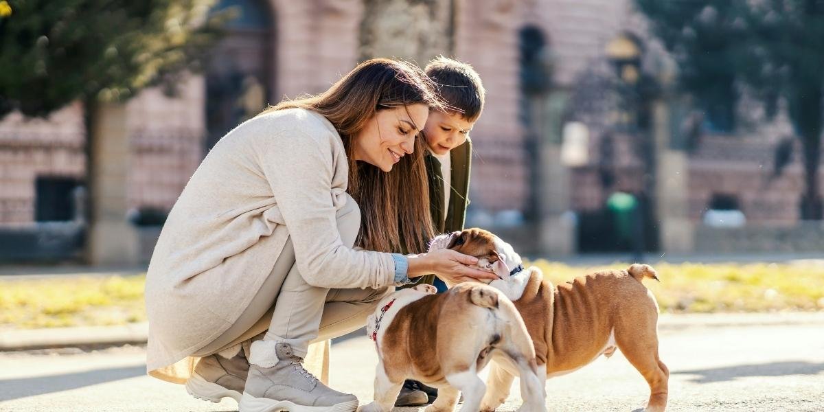 How Dogs Are Helping Lower Stress and Improve Heart Health