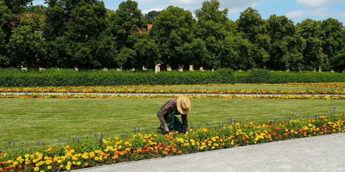 Millionaire Landscaper Club Boosts Growth for Landscape Professionals