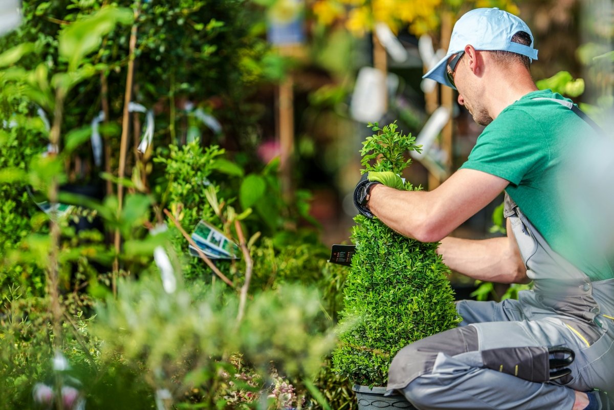 The Millionaire Landscaper Club Helps Landscaping Businesses Grow Through Proven Digital Marketing Strategies