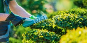 Millionaire Landscaper Club Elevates Landscaping Businesses Through Comprehensive SEO Services