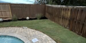 Truvian Lawn Care: Sod Installation Services That Transform Montgomery Landscapes
