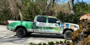Dragons Landscaping: Reliable Irrigation & Drainage Solutions That Protect and Enhance Residential Landscapes
