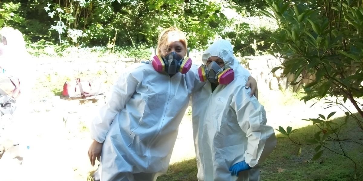 Paul Davis Restoration of Asheville Delivers 24/7 Full‑Service Restoration Across Western North Carolina