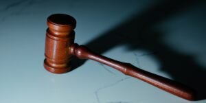 Dog Bite Injury Claims Under Washington Law