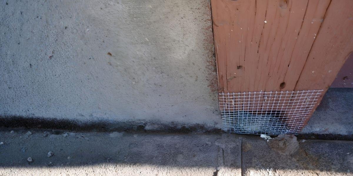 The Expanding Professional Reach of Myzzer Rodent Exclusion and Its Role in Specialized Rodent Control Services