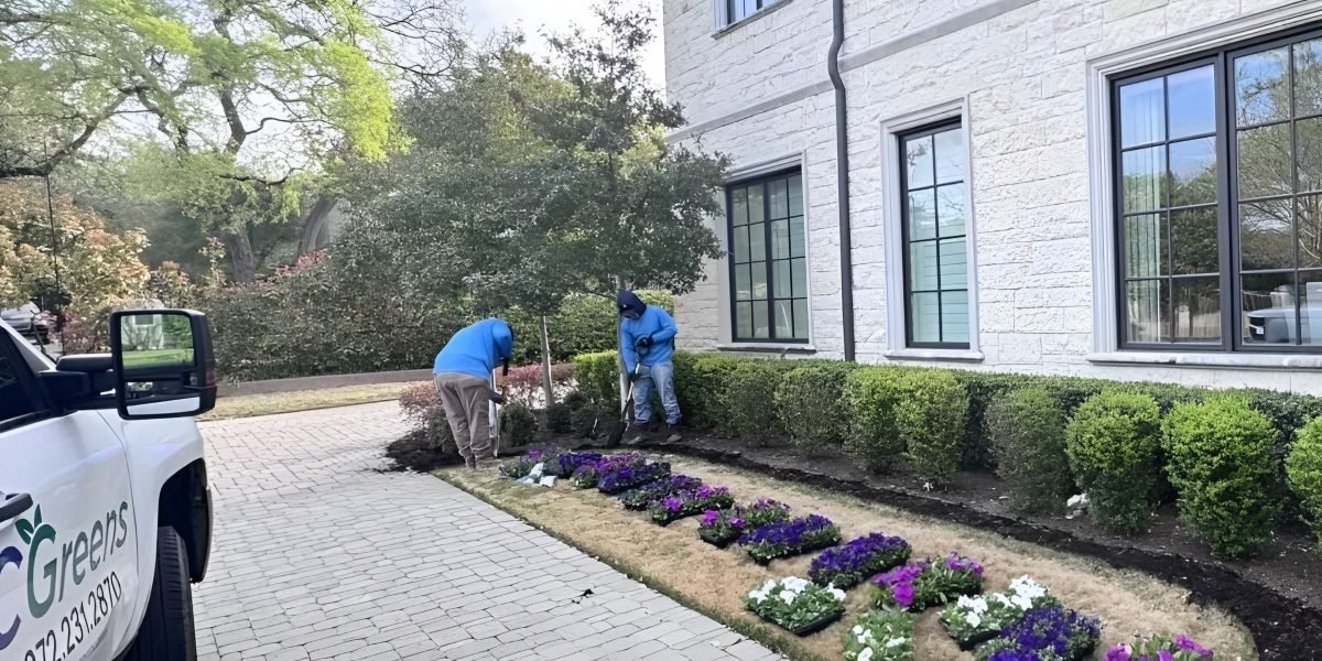 CGreens Helping Enhance Residential Landscaping Across North Texas
