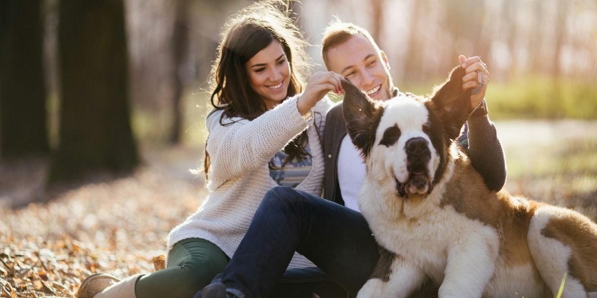 How Dogs Are Helping Lower Stress and Improve Heart Health
