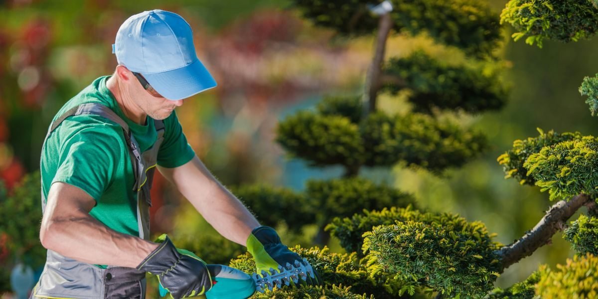 Millionaire Landscaper Club Empowers Landscaping Businesses with SEO Solutions